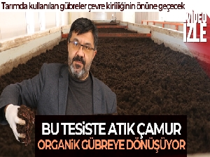 Atık çamur solucanlar tarafından sindirilerek organik gübreye dönüşüyor