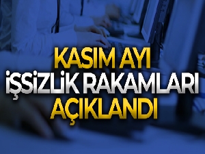 İşsizlik oranı Kasım ayında değişmedi