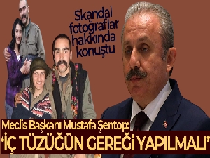 TBMM Başkanı Şentop, HDP'li milletvekilinin teröristle fotoğrafını değerlendirdi