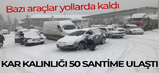 Bodrum'da sel faciası, evleri su bastı, sokak hayvanları boğuldu