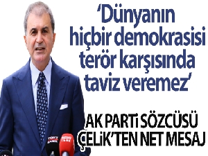 AK Parti Sözcüsü Çelik: "Dünyanın hiçbir demokrasisi terör karşısında taviz veremez"