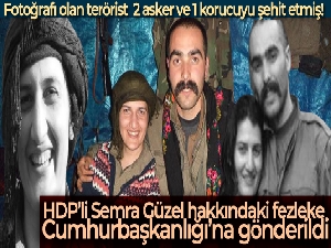 HDP'li Semra Güzel hakkındaki fezleke Cumhurbaşkanlığı'na gönderildi