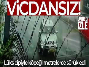 Başakşehir'de dehşet anları kamerada: Lüks cipiyle köpeği ezip kaçtı