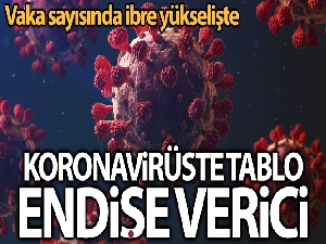 Son 24 saatte korona virüsten 137 kişi hayatını kaybetti