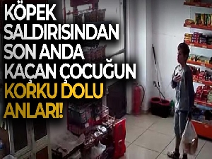 Erzincan'da köpek saldırısından son anda kaçan çocuğun korku dolu anları güvenlik kamerasına yansıdı