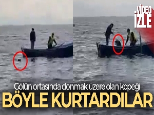 Gölün ortasındaki köpeği işte böyle kurtardılar