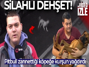 Üsküdar'da silahlı dehşet: Otizmli gencin köpeğini pitbull zannederek silahla vurdu