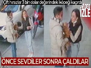 Sevgili çift işyeri önüne bırakılan köpeği severek çaldı