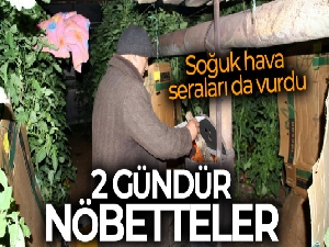 Fethiye'de seracıların sobalı zirai don nöbeti