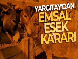 Yargıtay'dan emsal eşek kararı