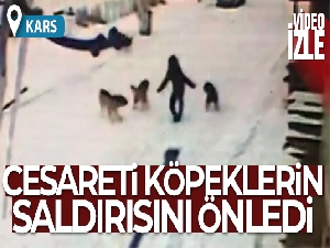 Kars'ta dehşet anları kamerada!