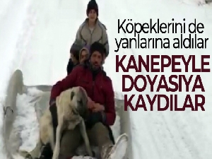 Köpeklerini de yanlarına aldılar, kanepeyle doyasıya kaydılar