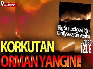 California'da korkutan orman yangını