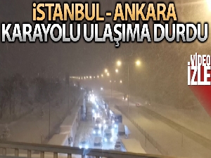 İstanbul-Ankara TEM Otoyolu ve D-100 Devlet Yolu tüm araç geçişlerine kapatıldı