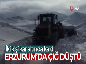 Erzurum'da mezrada çığ düştü, 2 kişi hayatını kaybetti