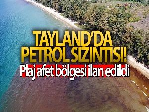 Tayland'da petrol sızıntısı nedeniyle bir plaj afet bölgesi ilan edildi