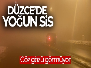 Düzce'de yoğun sis: Göz gözü görmüyor