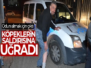 Çorlu'da odun almak için çıktı, köpeklerin saldırısına uğradı
