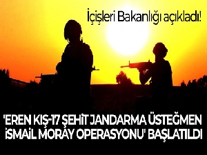 İçişleri Bakanlığı açıkladı! 'Eren Kış-17 Şehit Jandarma Üsteğmen İsmail Moray Operasyonu' başlatıldı