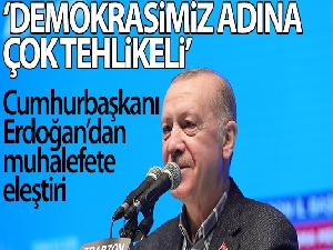 Cumhurbaşkanı Erdoğan'dan önemli demokrasi açıklaması