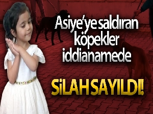 Asiye'ye saldıran köpekler iddianamede silah sayıldı