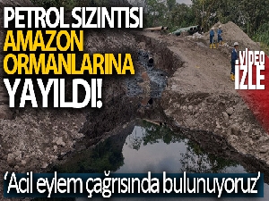Petrol sızıntısı Amazon ormanlarına yayıldı
