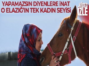'Atlar benim çocuklarım gibiler'