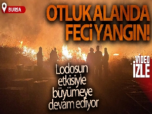 Bursa'da otluk alanda çıkan yangın lodosun etkisiyle büyümeye devam ediyor