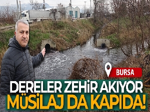 Bursa'da dereler zehir akıyor, bu yıl da müsilaj tehdidi kapıda