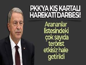 PKK'ya Kış Kartalı Harekatı darbesi!