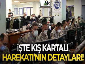 Terör yuvalarını vuran Kış Kartalı Harekatı'nın detayları ortaya çıktı