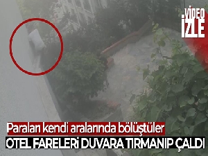 İstanbul'da otele tırmanan hırsızlar kamerada!