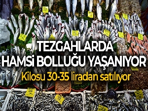 Tezgahlarda hamsi bolluğu yaşanıyor