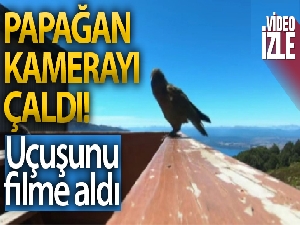 Papağan çaldığı kamera ile uçuşunu filme aldı