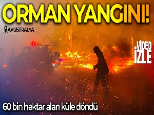 Avustralya'da orman yangını: 60 bin hektar alan küle döndü