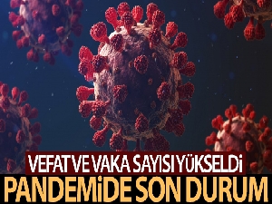 Sağlık Bakanlığı, Türkiye'nin son 24 saatlik korona virüs tablosunu açıkladı
