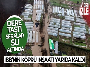 İBB'nin köprü inşaatı yarıda kaldı, derenin taşmasıyla seralar su altında kaldı