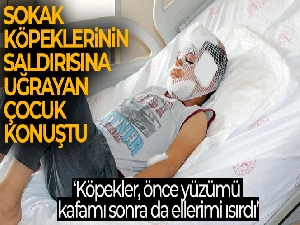 Mardin'de sokak köpeklerinin saldırısına uğrayan çocuk konuştu