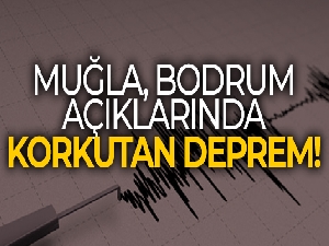 Muğla, Bodrum açıklarında meydana gelen 4,1 büyüklüğündeki deprem sonrası açıklama!