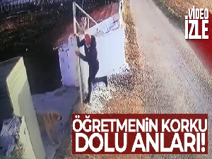 Öğretmene köpek saldırısı güvenlik kamerasında