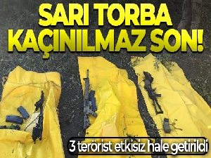 Şırnak'ta 3 terörist etkisiz hale getirildi