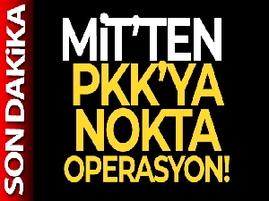 MİT'ten PKK'ya nokta operasyon