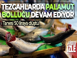 Tezgahlarda palamut bolluğu devam ediyor