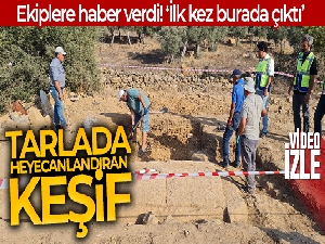 Tarlada heyecanlandıran keşif