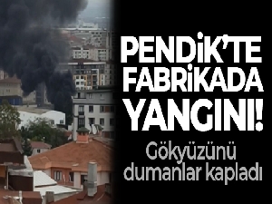 Pendik'te fabrika yangını!
