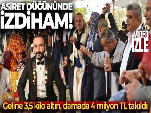 Hakkari'de aşiret düğününde izdiham