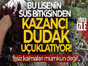 Bu lisenin süs bitkisinden kazancı dudak uçuklatıyor