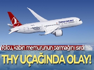 THY uçağında olay: Yolcu, kabin memurunun parmağını ısırdı