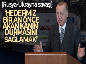Cumhurbaşkanı Erdoğan: 'Hedefimiz, bir an önce akan kanın durmasını sağlamaktır'