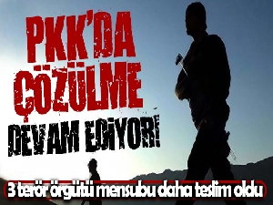 Terör örgütü PKK'da çözülme devam ediyor: 3 PKK'lı daha teslim oldu